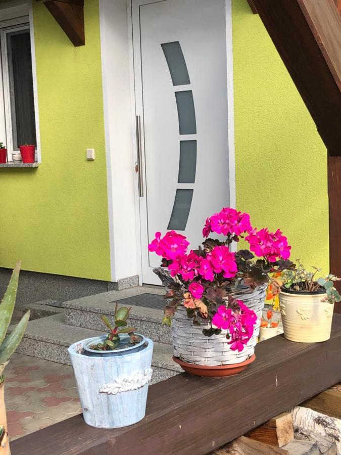 Villa Dirks Schmuckstuck à Weisswasser Extérieur photo